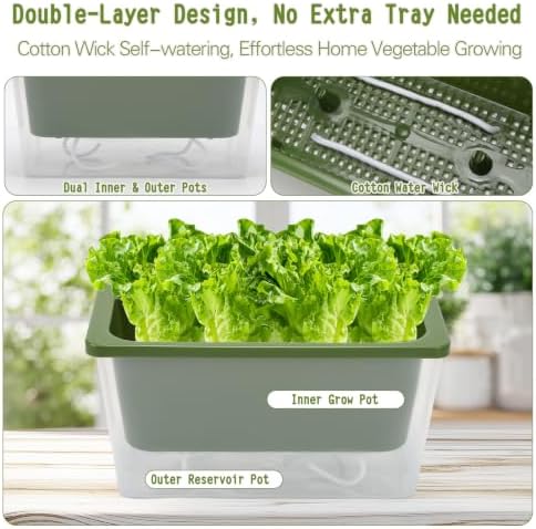 Lettuce Growing Container
