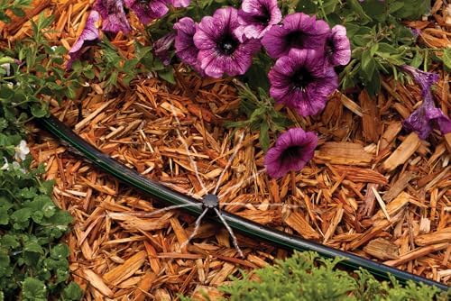 Rain Bird MBSPF10S Drip Micro-Bubbler, Full Circle, 10-Pack