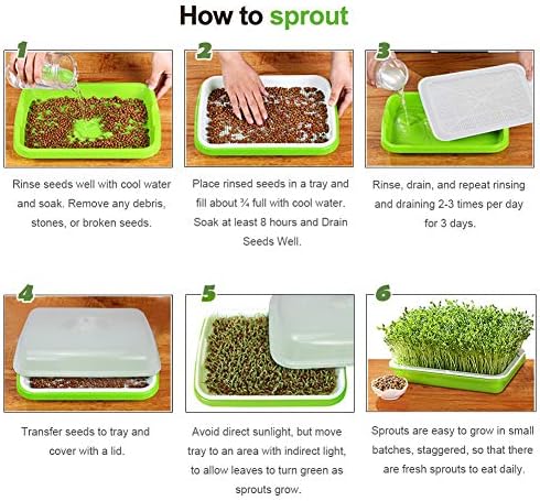 SUNPRO 2-Pack Seed Sprouter Tray with Humidity Lid, BPA Free Food Grade Soil-Free Sprouting Kit, Large Capacity Wheatgrass Grower & Microgreens Germination Station for Beans, Peas, Cat Grass (Green)