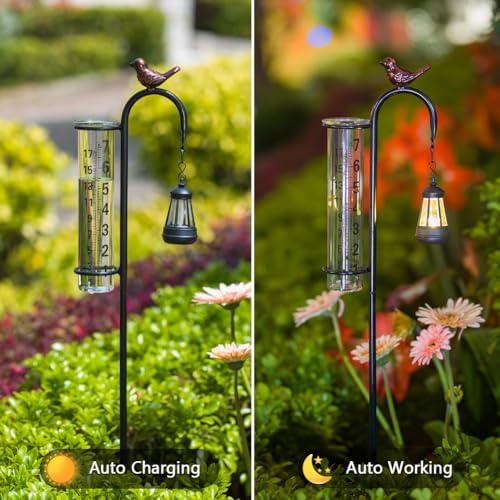 Hummingbird Rain Gauge Outdoor, Solar Rain Gauge