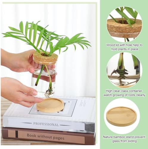 Honeydak 8 Pcs Plants Propagation Stations Desktop Glass Propagation Vases
