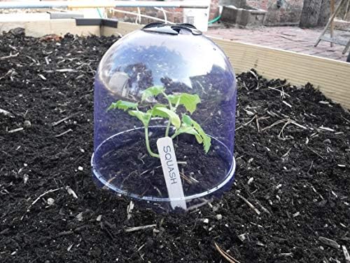 12-Pack! GrowAway™ Small Reusable Plastic Mini Greenhouse, Garden Cloche Dome, Plant Covers Frost Guard Freeze Protection for Plants Outdoors, Garden Tools, Garden Accessories - 7.87"Diam. x 6.69"H