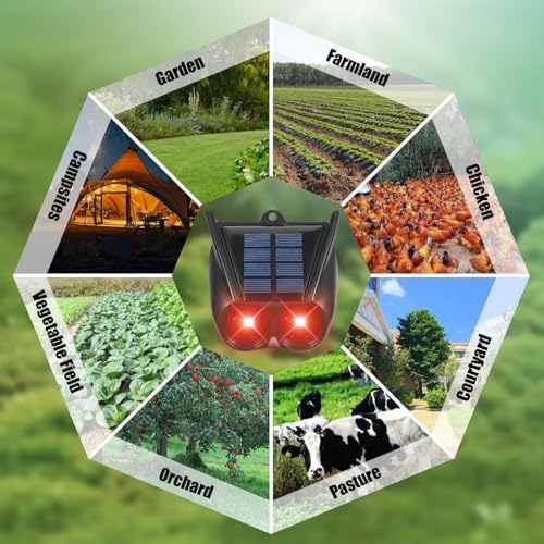 Solar Nocturnal Animal Repeller Outdoor Predator Lights for Chicken Coop Predator Protection Coyote Deterrent for Yard Nite Guard Solar Lights Predator Eyes-Protects Against Fox,Raccoon,Skunk,Deer(4)