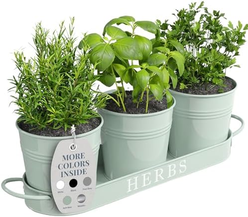 Barnyard Designs Indoor Herb Garden Planter Pots Set/3 (Soft Mint)
