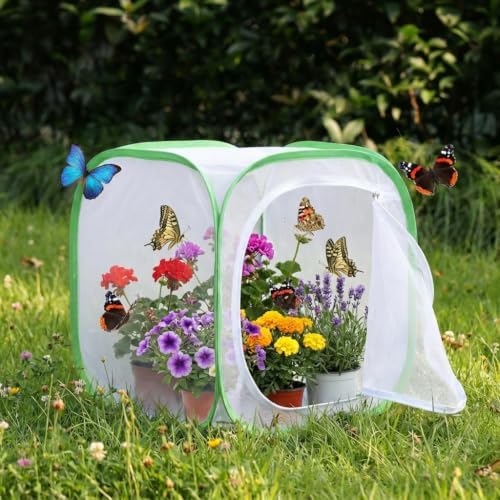 Insect & Butterfly Habitat Cage, Portable Pop-Up Terrarium with Mesh Sides, Bug Catching & Observation Enclosure for Caterpillars, Small Insects, Outdoor & Classroom Use, 12 Inches Tall