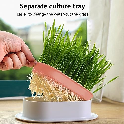 Cat Grass Planter, Hydroponic Cat Grass Box Trays for Sprouts Growing Kits, Indoor Gardening System for Pets, Soil-Free Planter(3PCS)