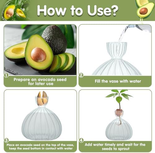 Large Avocado Grow Vase Glass Striped Acorn Seed Starter Vase for Growing