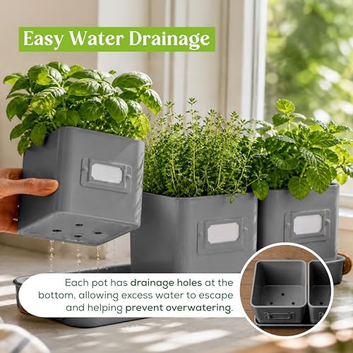 volila Herb Planter Indoor - Set of 3 Grey Indoor Herb Garden Pots for Plants with Leather Handled Tray - Window Sill Plant Shelf - Herb Pots with Drainage Holes and Labels