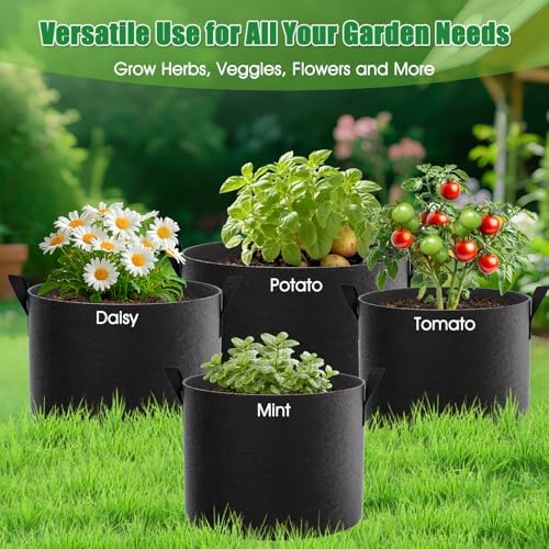 FEED GARDEN 5 Gallon Grow Bags 8 Pack – 300G Thickened Non-Woven Fabric Pots Double-Stitched Handles, Foldable Breathable Drainage Planters for Herbs, Lettuce, Strawberries & Flowers, Indoor Outdoor