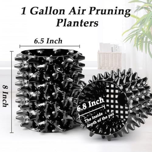 RooTrimmer 1 Gallon Air Pruning Containers, New Plastic Nursery Pots, Fruit Vegetable Garden Self-Planting Pots, Black (1G-10P)