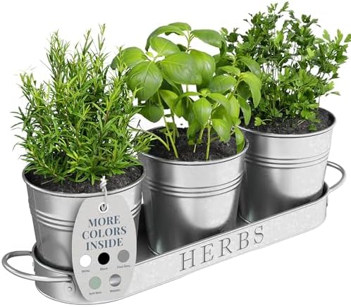 Barnyard Designs Indoor Herb Garden Planter Pots Set/3 (Galvanized)
