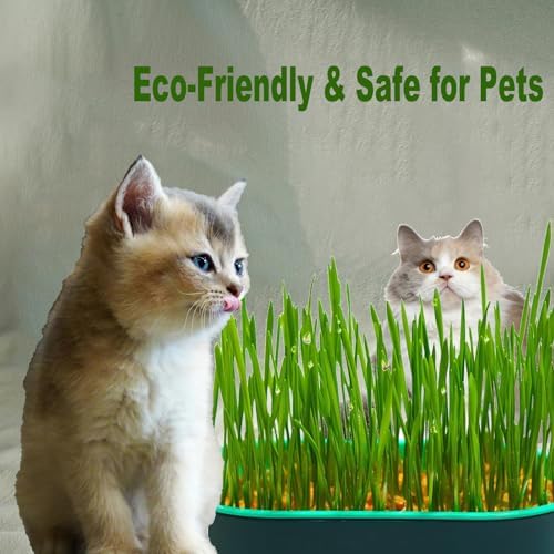 3Pcs Cat Grass Planter, Plastic Wheatgrass Planting Trays Hydroponic Cat Grass Growing Kits for Indoor Cats Soilless Nursery Box Pet Grass Pot (3 Color)