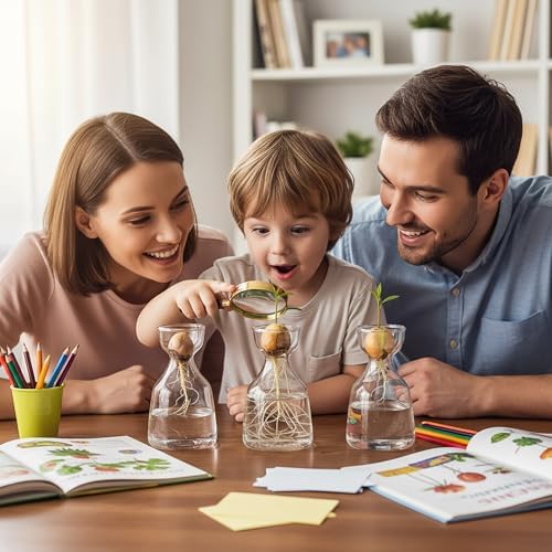 Hiceeden 3 Pack Avocado Seed Starter Vase for Growing, Glass Acorn Tree Growing Kit Vase, Small Avocado Tree Plant Pot Seed Planter, Flower Bud Vases Gift for Gardening Lovers