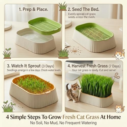 Organic Cat Grass Planter Indoor Hydroponic Wheatgrass Seed Sprout Tray