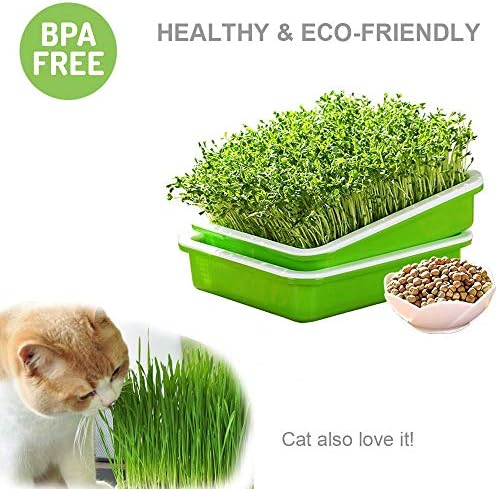 SUNPRO 2-Pack Seed Sprouter Tray with Humidity Lid, BPA Free Food Grade Soil-Free Sprouting Kit, Large Capacity Wheatgrass Grower & Microgreens Germination Station for Beans, Peas, Cat Grass (Green)