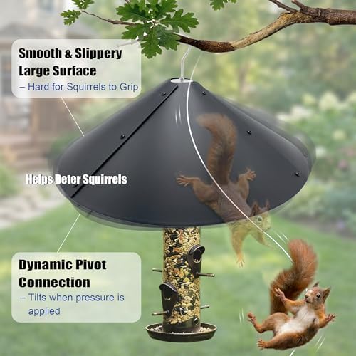 ForeverSong Squirrel Baffle for Bird Feeder, 16.5 Inch Hanging Mount, Black