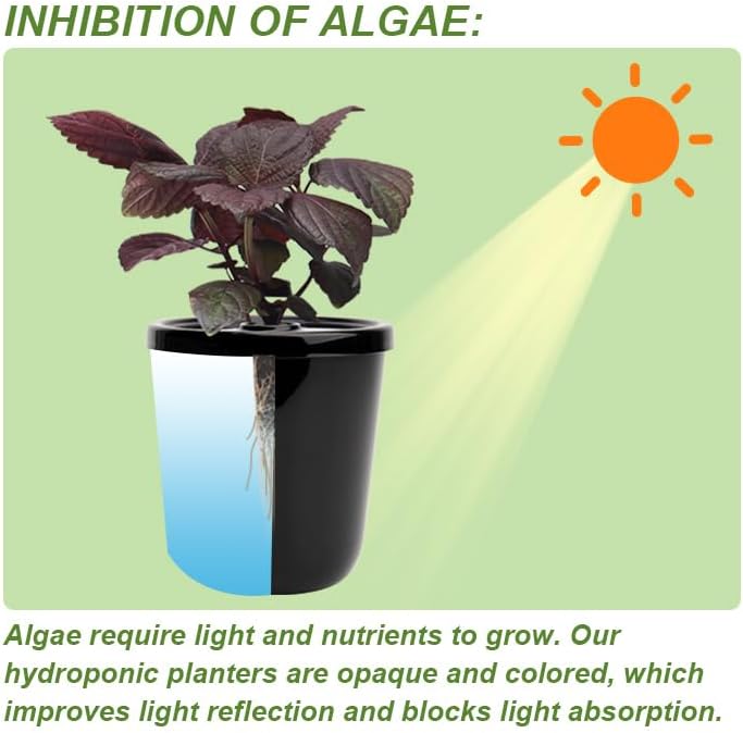 Kratky Method Hydroponic Planter Kit, 8 Hydroponic Planter Plus 24 Growing Sponges for Herbs, Hydroponic Mini Buckets for Windowsill Herb Garden, Hydroponic Growing System for Vegetables (Black)