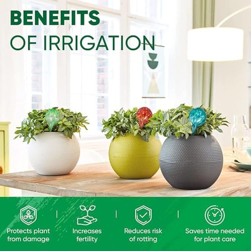 Plant Watering Globes Set of 6, Small - Glass Self Watering Globes