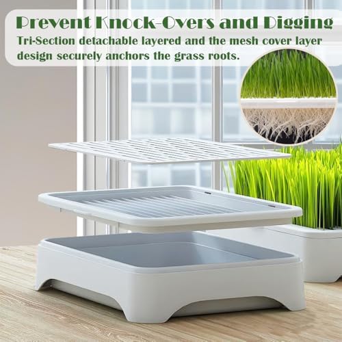 2-Pack Cat Grass Planter (No Seeds Included), Tri-Section Design, Anti-Pull Out Cat Grass Seed Starter Tray, Sprouts Growing Kit, Microgreens Growing Trays