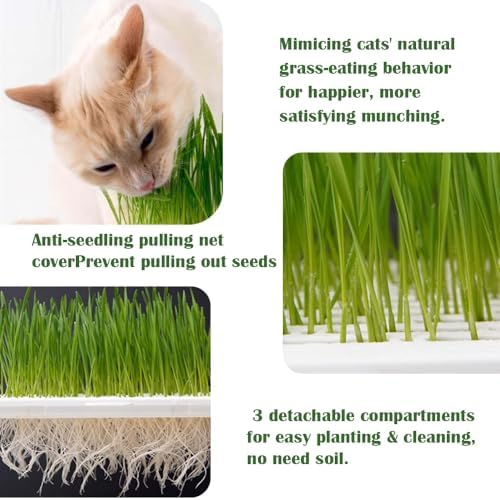 2-Pack Cat Grass Planter (No Seeds Included), Tri-Section Design, Anti-Pull Out Cat Grass Seed Starter Tray, Sprouts Growing Kit, Microgreens Growing Trays
