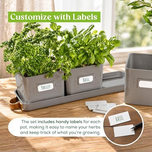 volila Herb Planter Indoor - Set of 3 Grey Indoor Herb Garden Pots for Plants with Leather Handled Tray - Window Sill Plant Shelf - Herb Pots with Drainage Holes and Labels