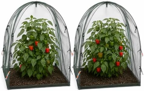 NuVue Products 25202 Pop-Up Garden Netting Animal and Bug Guard Covers with Ground Spikes, Mesh Plant Cover Tents for Pest and Animal Control, Pack of 2,Green, 28" x 28" x 30"