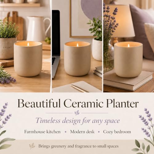 Cedar Scented Candle Planter, Lavender Seeds with Coco Coir, The Growing Candle 100% Soy Wax, Aromatherapy Candle, Ceramic Pot Home Decor Gift, Unique Gardening Gifts for Women Mom Plant Lover