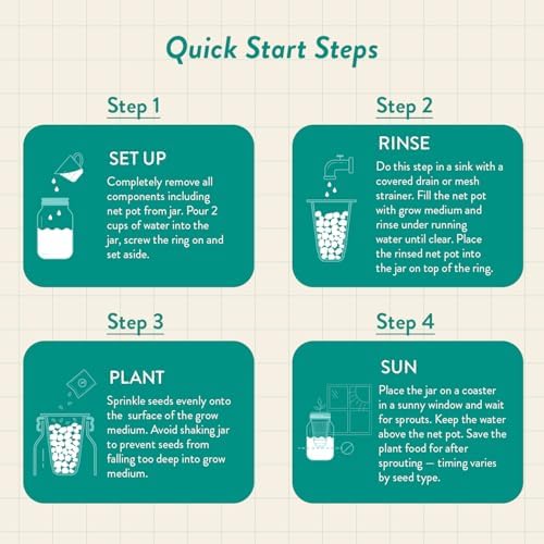 Modern Sprout Mason Garden Jar - Self-Watering Hydroponics Kit - Basil