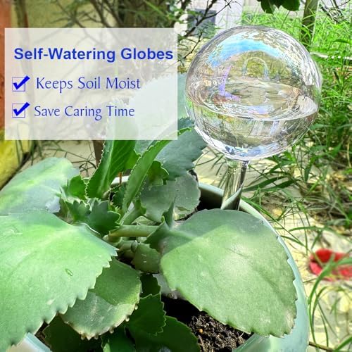 Plant Watering Globes, Plant Automatic Water Bulbs Flower Self Watering