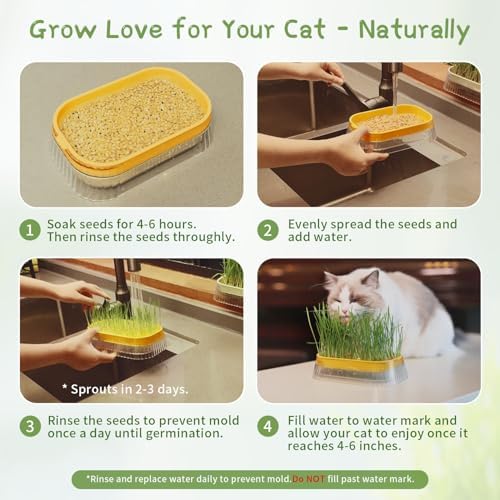 Hydroponic Cat Grass Grow Kit with 5 Pack Non GMO Wheat Seeds, Cat Grass for Indoor Cats, Organic Grass Growing Kit, Soil-Free Planter, Perfect for Beginners, Cats Gifts