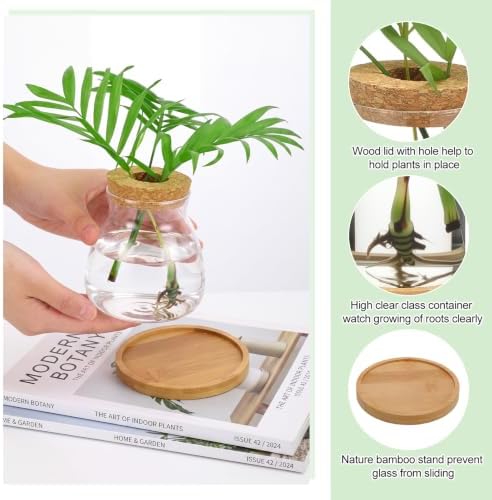 Honeydak 12 Pcs Plants Propagation Stations Desktop Glass Propagation Vases