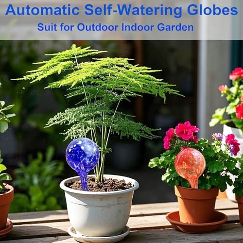 Plant Self Watering Globes, 6pcs Glass Self Watering Bulb for Potted Plant