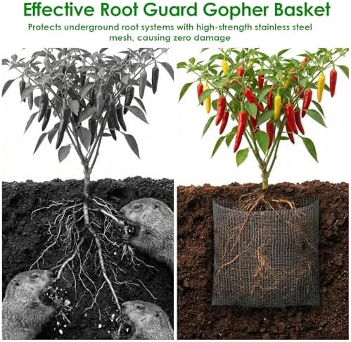 20pcs Plant Root Guard Gopher Baskets 1 Gallon Size Resistant Stainless Steel Plant Wire Baskets Gophers Voles Moles Mesh Baskets to Protect Plant Roots Tubers Trees Flowers