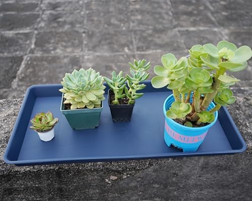VUWEZ Rectangle Plant Tray, Plant Drip Tray, Plant Pot Saucers, Plant Germination Trays, Plant Saucers, 17.5'' x 10.6'' x 1.5'' (2 pack), Blue