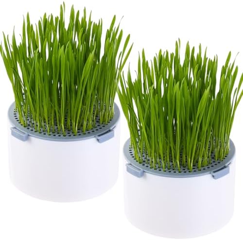 2Pcs Hydroponic Cat Grass Planter (no Seeds Included) for Indoor Cat
