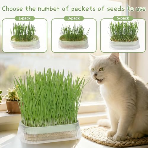 Cat Grass for Indoor Cats with 5Pack Non GMO Seeds, Organic Grass Growing Kit, Soil-Free Planter, Perfect for Beginners, Ideal Birthday Gift for Cat Lovers