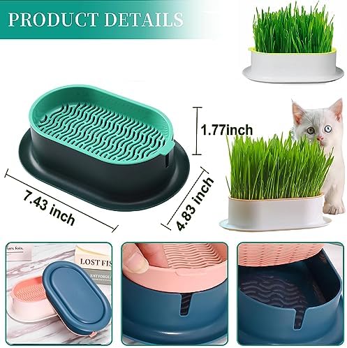 2Pcs Cat Grass Planter (No Seeds Included) Wheatgrass Planting Trays Hydroponic Cat Grass Growing Kits for Indoor Cats Soilless Organic Nursery Box Pet Grass Pot (D)