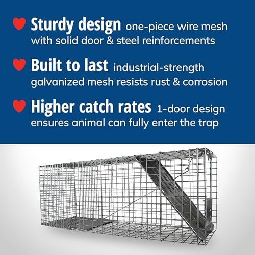 Havahart Large 1-Door Live Animal Trap for Raccoons, Cats, Bobcats, Beavers