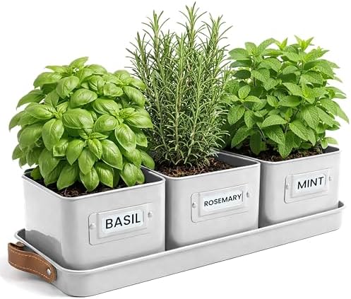 volila Herb Planter Indoor - Set of 3 Warmstone Indoor Herb Garden Pots for Plants with Leather Handled Tray - Window Sill Plant Shelf - Herb Pots with Drainage Holes and Labels