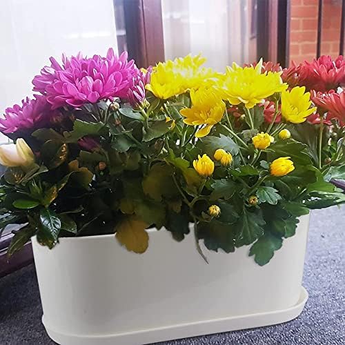 20 Set Window Herb Planter Box Rectangular,8.5x3.5 Inch White Plastic Planters with Multiple Drainage Holes and Trays,Indoor Succulent Cactus Mint Flower Pot for Windowsill,Garden Balcony