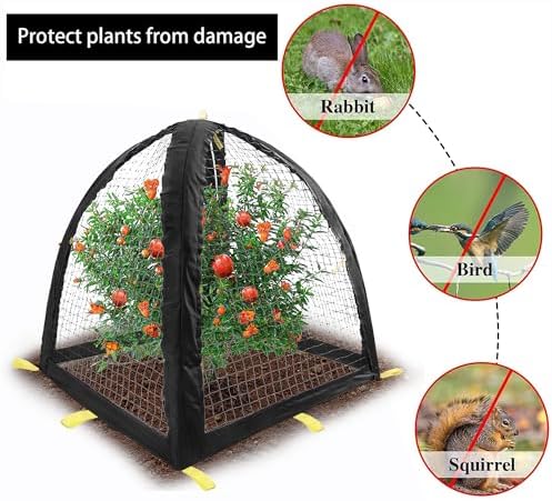 Large Pest Guard Cover-35 x35 x 39 Inch Pest Guard Tent with Stakes-Garden Plants Cloche Tent for Protect Plants Vegetables Fruits Shrubs from Squirrel Bird Eating (L)