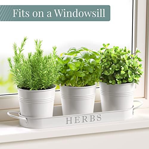 Barnyard Designs Indoor Herb Garden Planter Pots with Tray Set/3 (White)