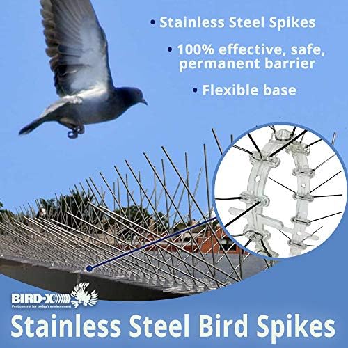 Bird-X Stainless Steel Bird Spikes, 8-inch Extra-Wide Spikes, Bird Spikes for Pigeons and Other Small Birds, Easy to Install, Contains 2 ft. Strips, Covers 50 Linear Feet Area, EWS-50