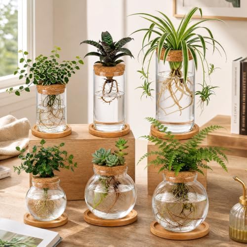 Honeydak 6 Pcs Plants Propagation Station Desktop Glass Propagation Round