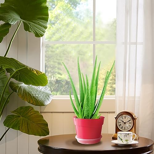 RooTrimmer 8 inch Plastic Flower Pots, Red Plant Pots 12Pack with Saucers for Indoor House Plants Growing and Decoration