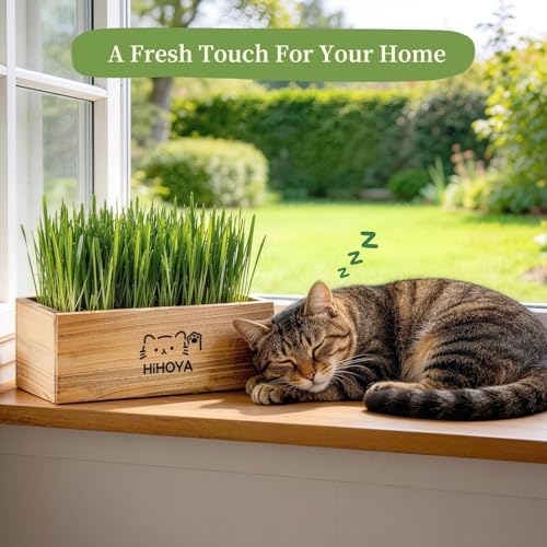 Cat Grass Kit for Indoor Cats - 5 Packets of Seeds, Cat Grass Planter Wooden Growing Kit, 5-Time Plant Starter Pack with 6 Soil Discs, Trimming Scissors, Spray Bottle, and Mini Tools