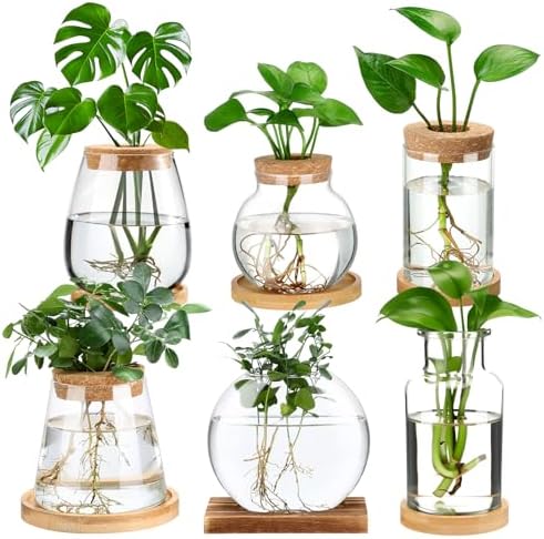 Honeydak 6 Pcs Plants Propagation Stations Desktop Glass Propagation Vases