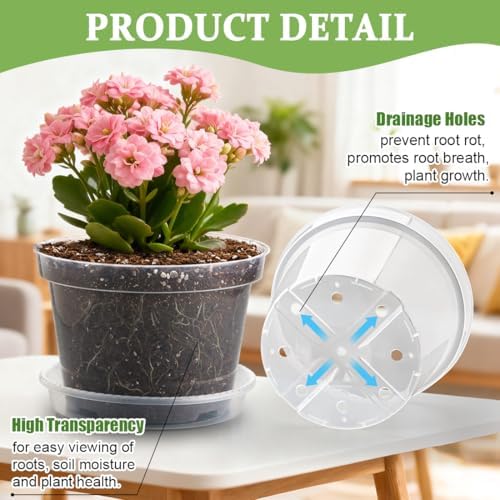 RooTrimmer 12 Pack 8 Inch Clear Plant Pots with Saucers, Transparent Plastic Nursery Pots with Drainage Hole, Sturdy Garden Planter Pots, Planting Starter Pots for Indoor Outdoor
