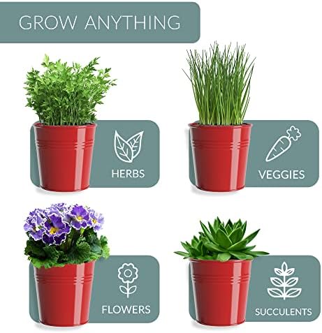 Barnyard Designs Indoor Herb Garden Planter Pots Set/3 (Brick Red)