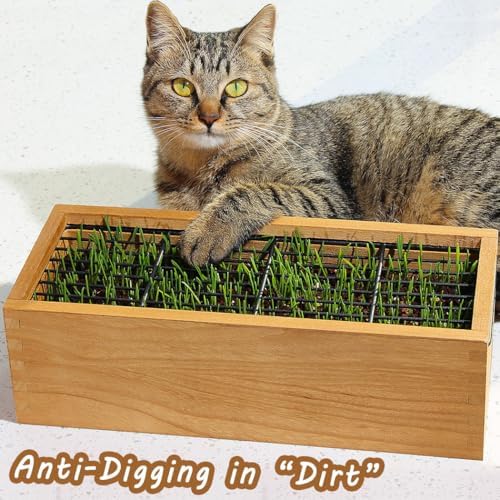 Wooden Cat Grass Planter (no Seeds Included) Anti Digging Design